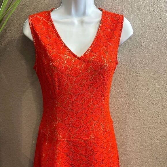 #450 black label Evan Picone, immediately orange/nude Lacey fit and flare size 4 - Picture 2 of 13